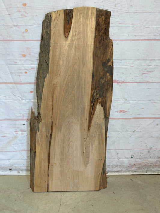 Live Edge Maple Sku#27636M-13