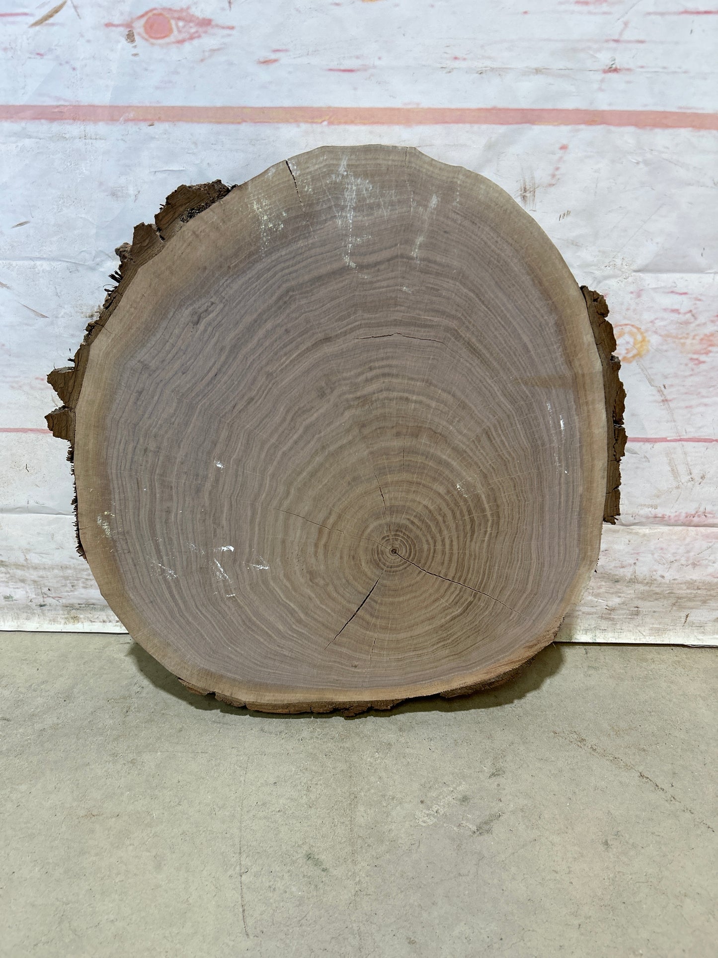 Live Edge Walnut Cookie Sku#28171M