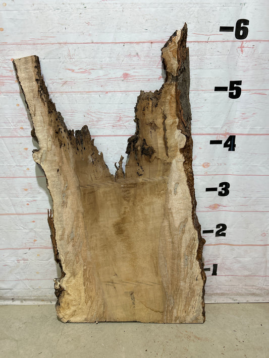 Live Edge Maple Sku#27353-32