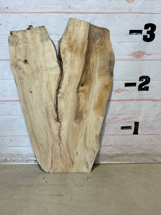 Live Edge Box Elder Sku#28349M-6