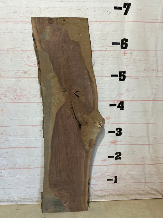 Live Edge Walnut Sku#28532G-24