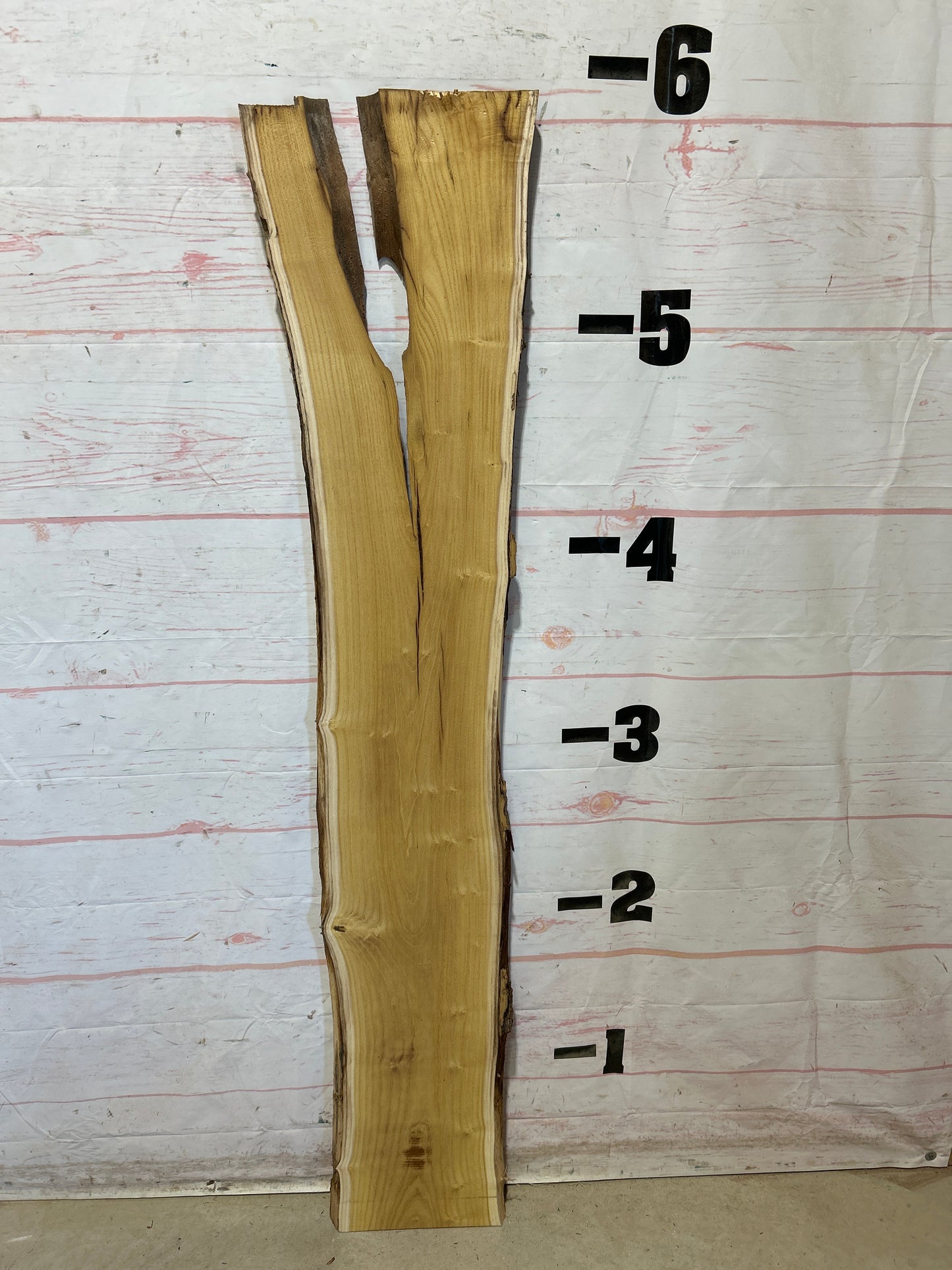 Live Edge Mulberry Sku#28358D-10