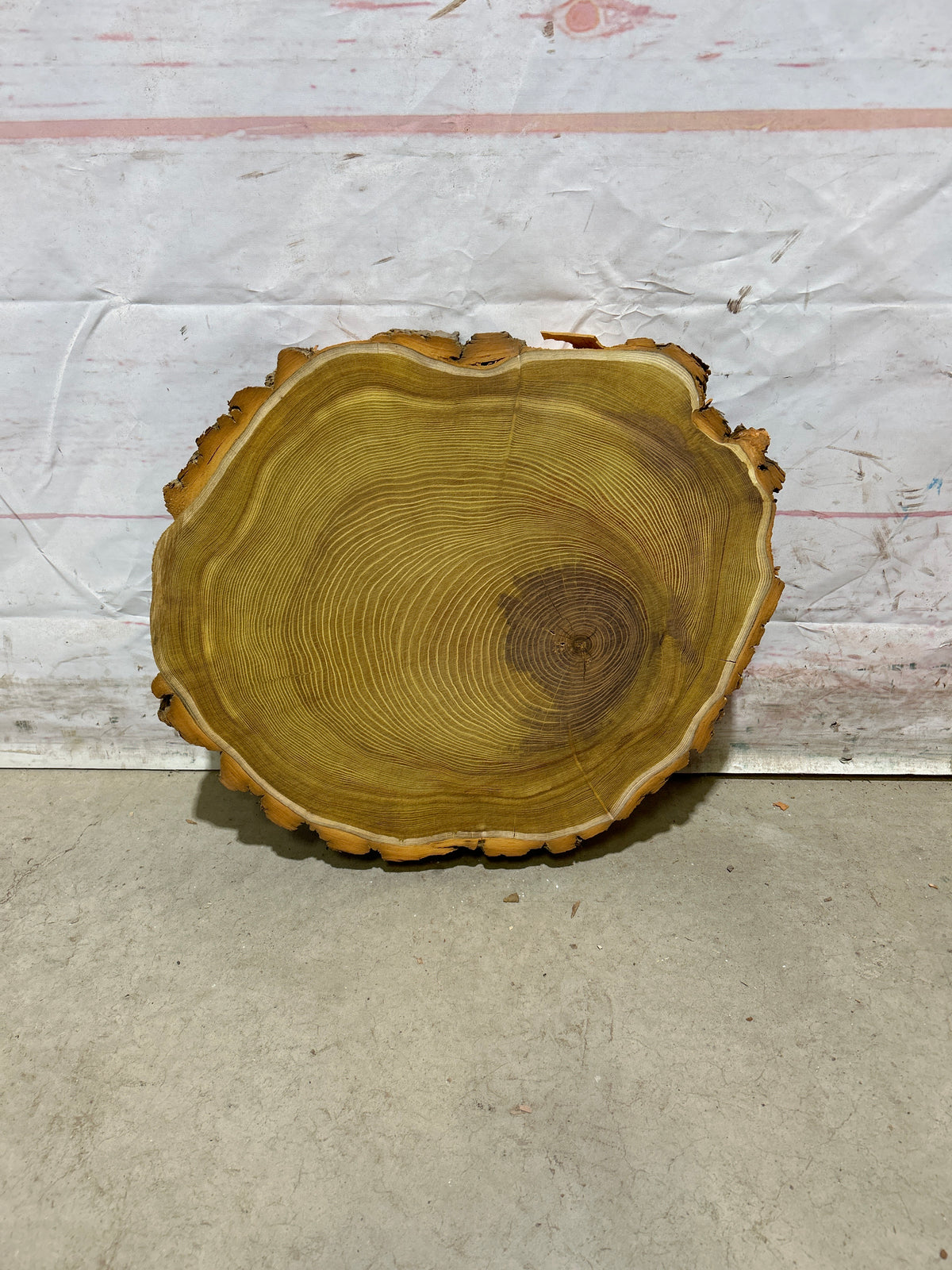 Live Edge Osage Orange Sku#28835M