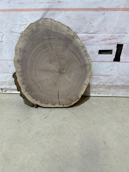 Live Edge Walnut Cookie Sku#28148M