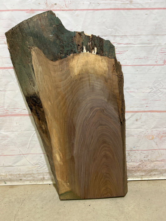 Live Edge Walnut Sku#27548M-11
