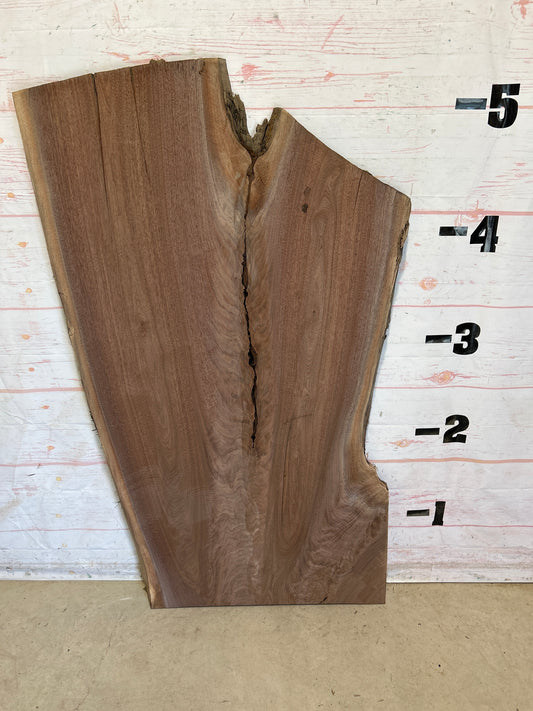 Live Edge Walnut Sku#28401N-31