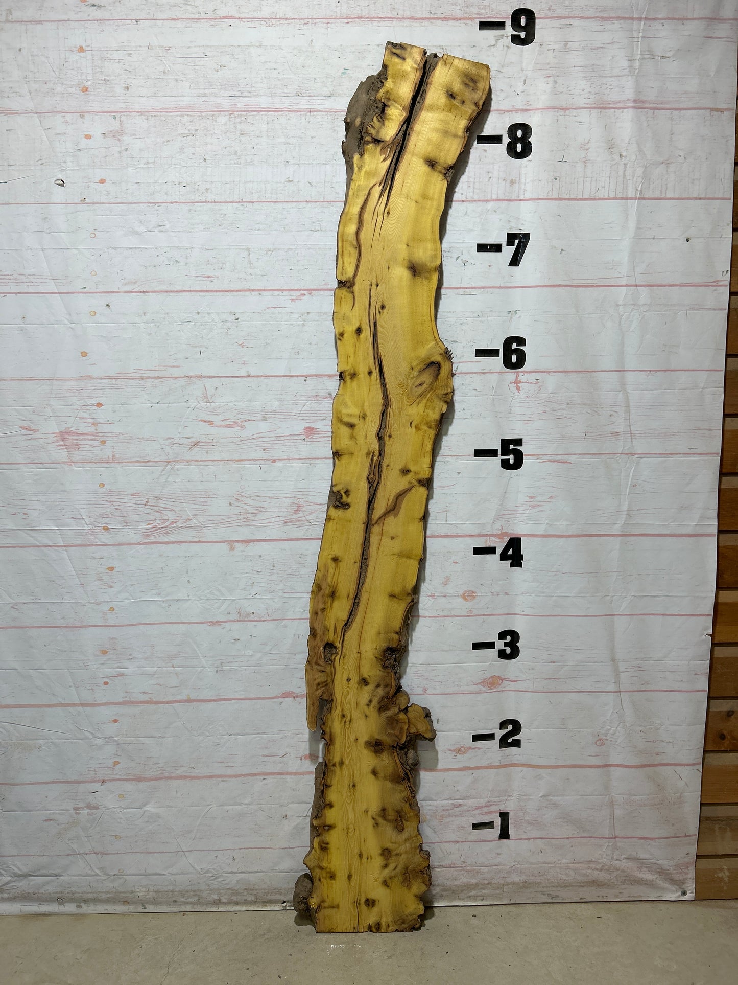 Live Edge Osage Orange Sku#28296-15