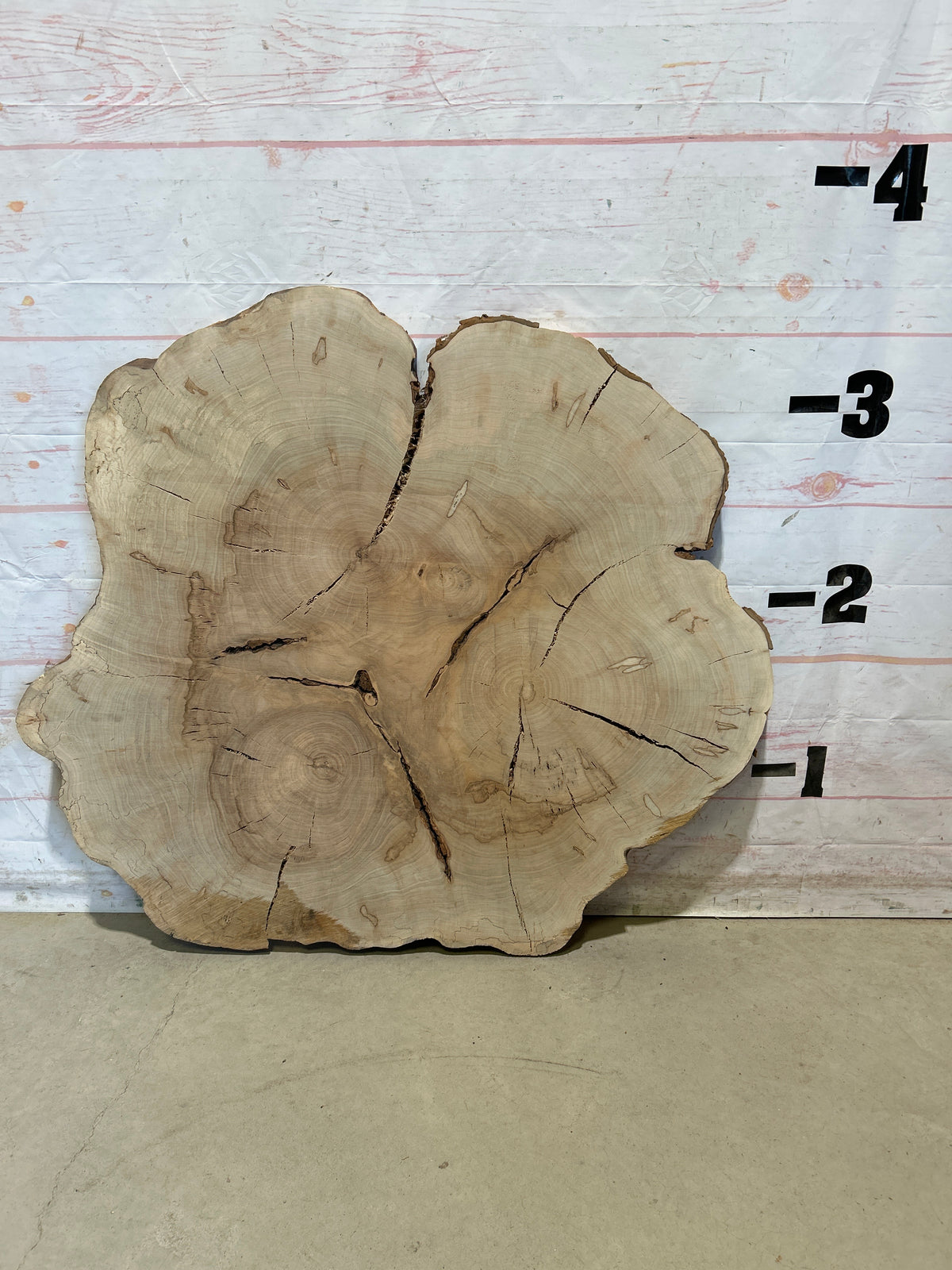 Live Edge Maple Cookie Sku#28704M