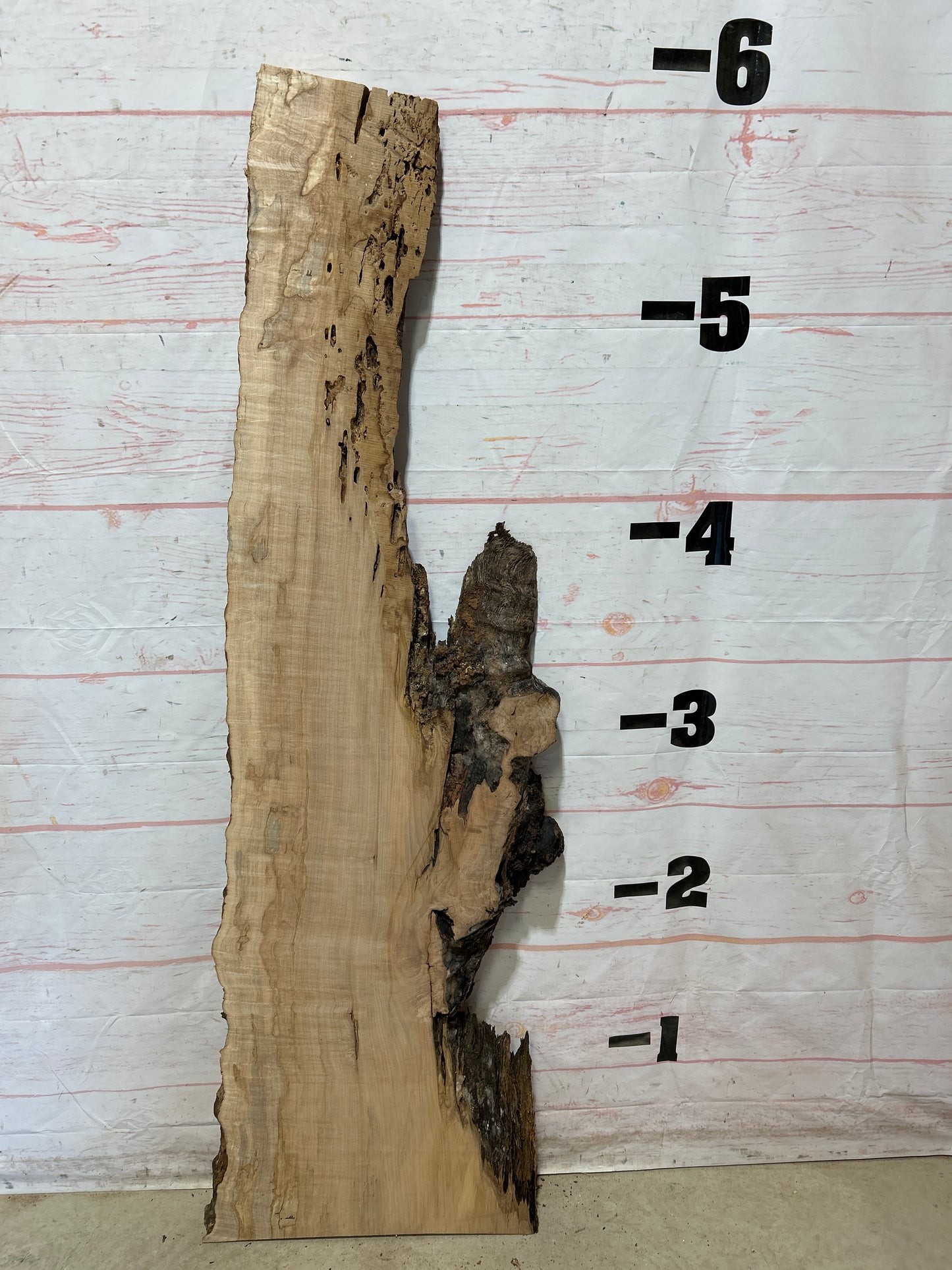 Live Edge Ambrosia Maple Sku#27271-18