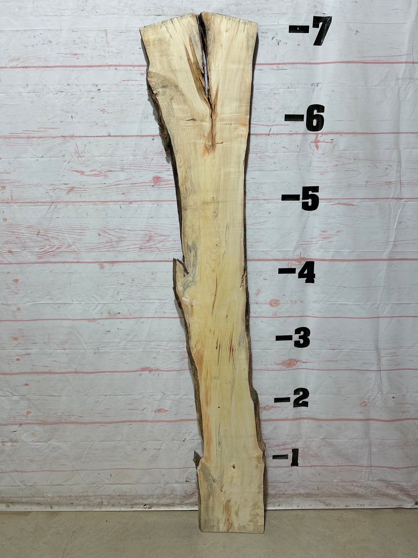 Live Edge Box Elder Sku#27438D-12