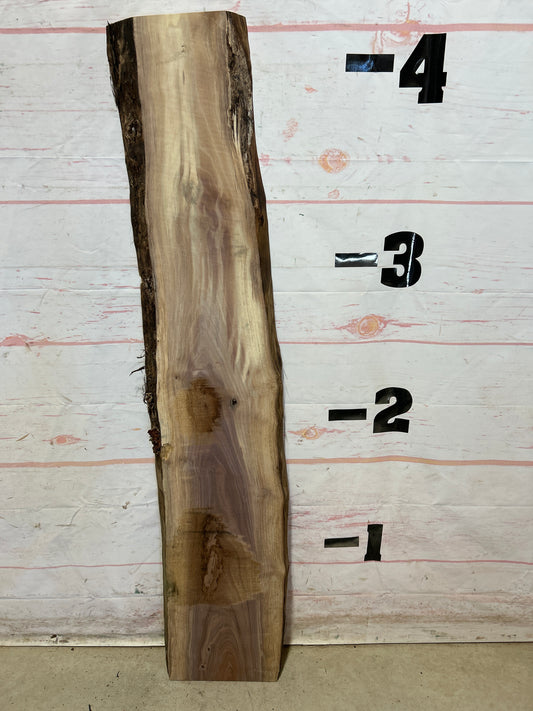 Live Edge Walnut Sku#28030M-5