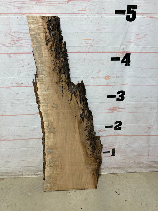 Live Edge Ambrosia Maple Sku#27263-14