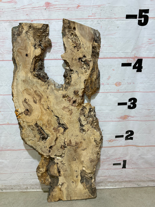 Live Edge Maple Sku#27410E-12