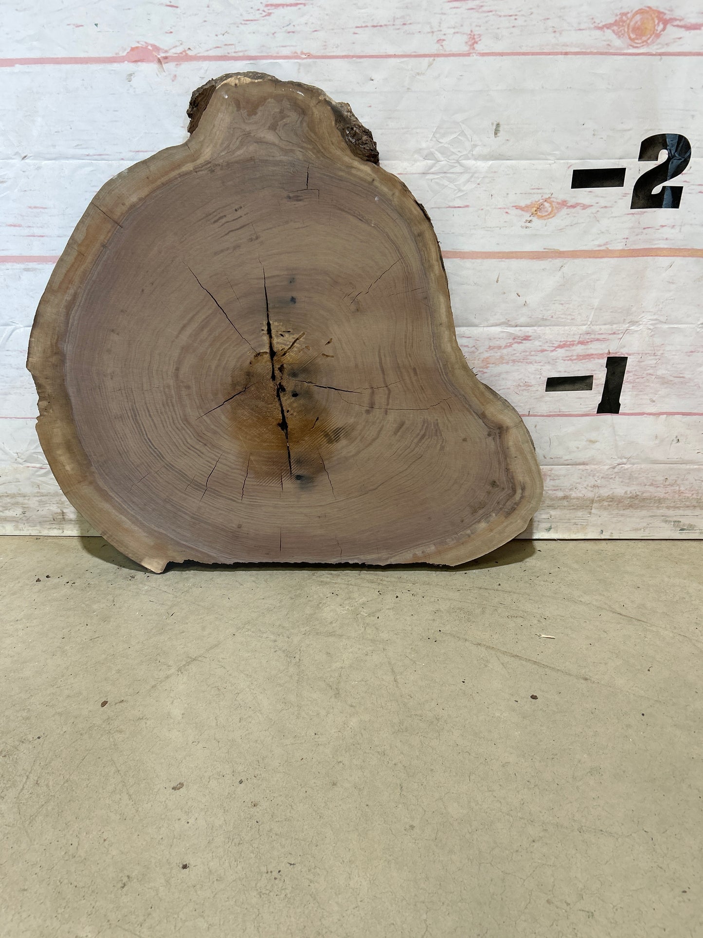 Live Edge Walnut Cookie Sku#28449M