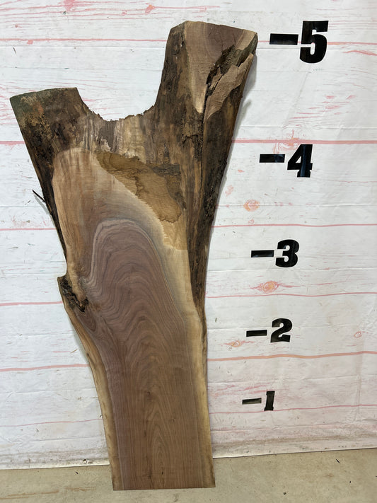 Live Edge Walnut Sku#27960A-16