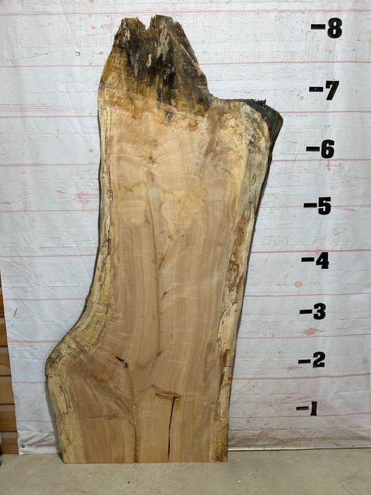 Live Edge Maple Sku#28099B-52