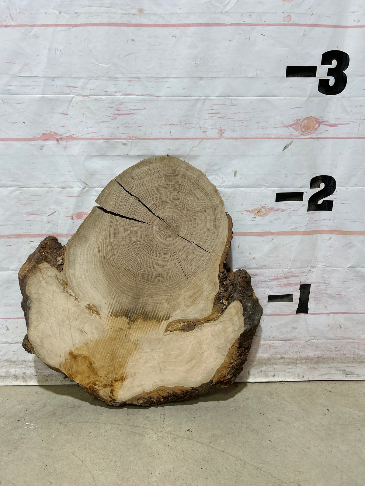 Live Edge White Oak Cookie Sku#28991M