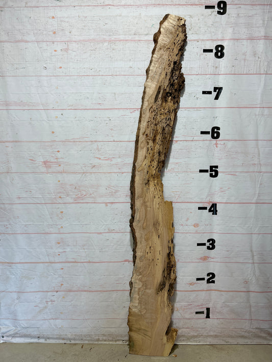 Live Edge Ambrosia Maple Sku#27261-18