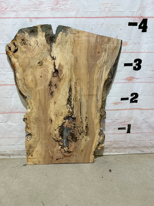 Live Edge Maple Sku#27413E-19