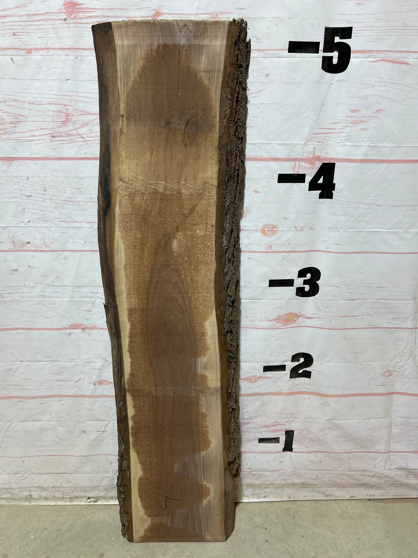 Live Edge Walnut Sku#27246M-12