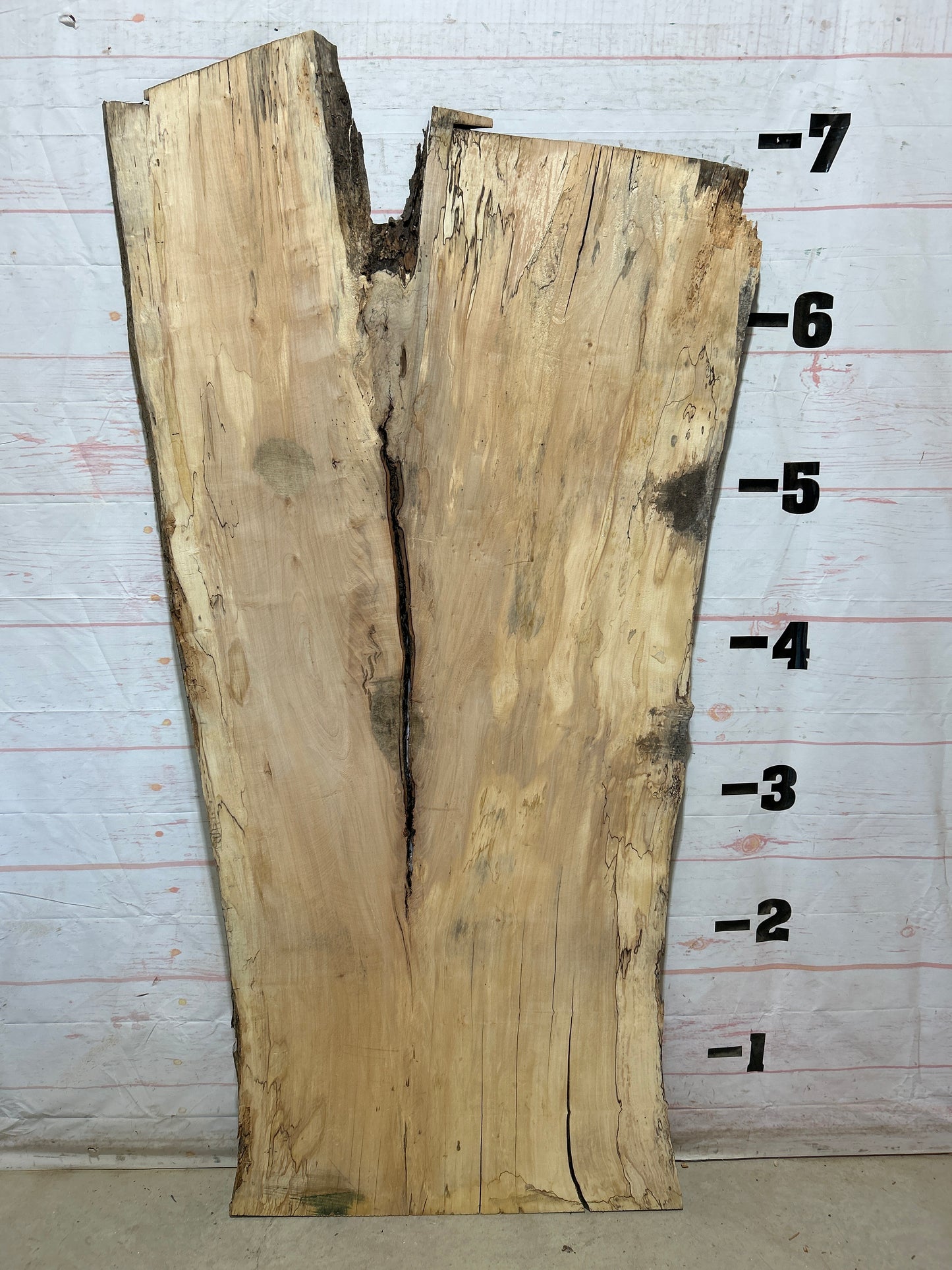 Live Edge Maple Sku#28315B-50