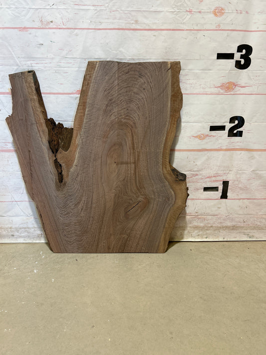 Live Edge Walnut Sku#27232M-10