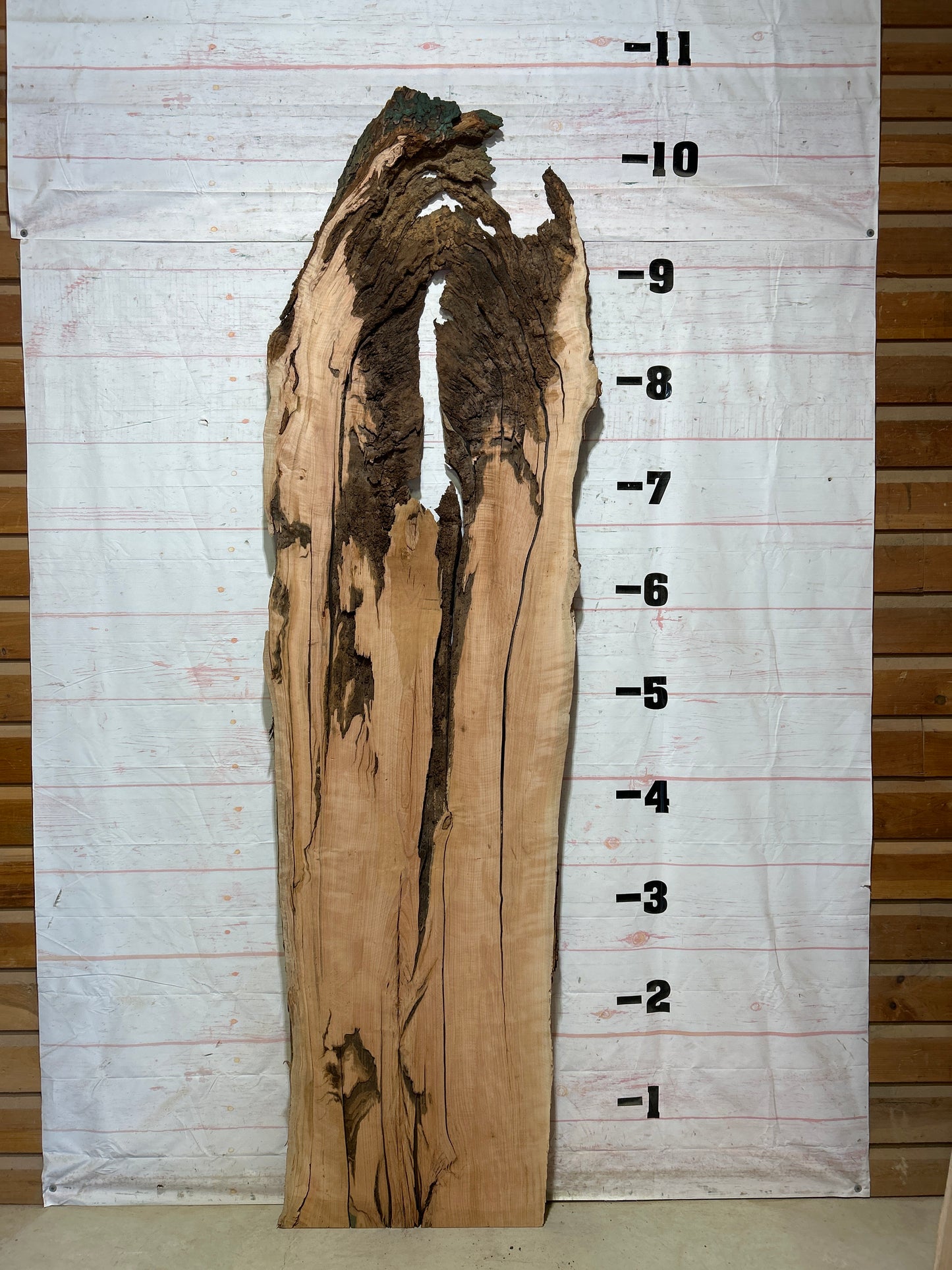 Live Edge Cherry Sku#27831-55