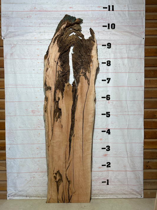 Live Edge Cherry Sku#27831-55