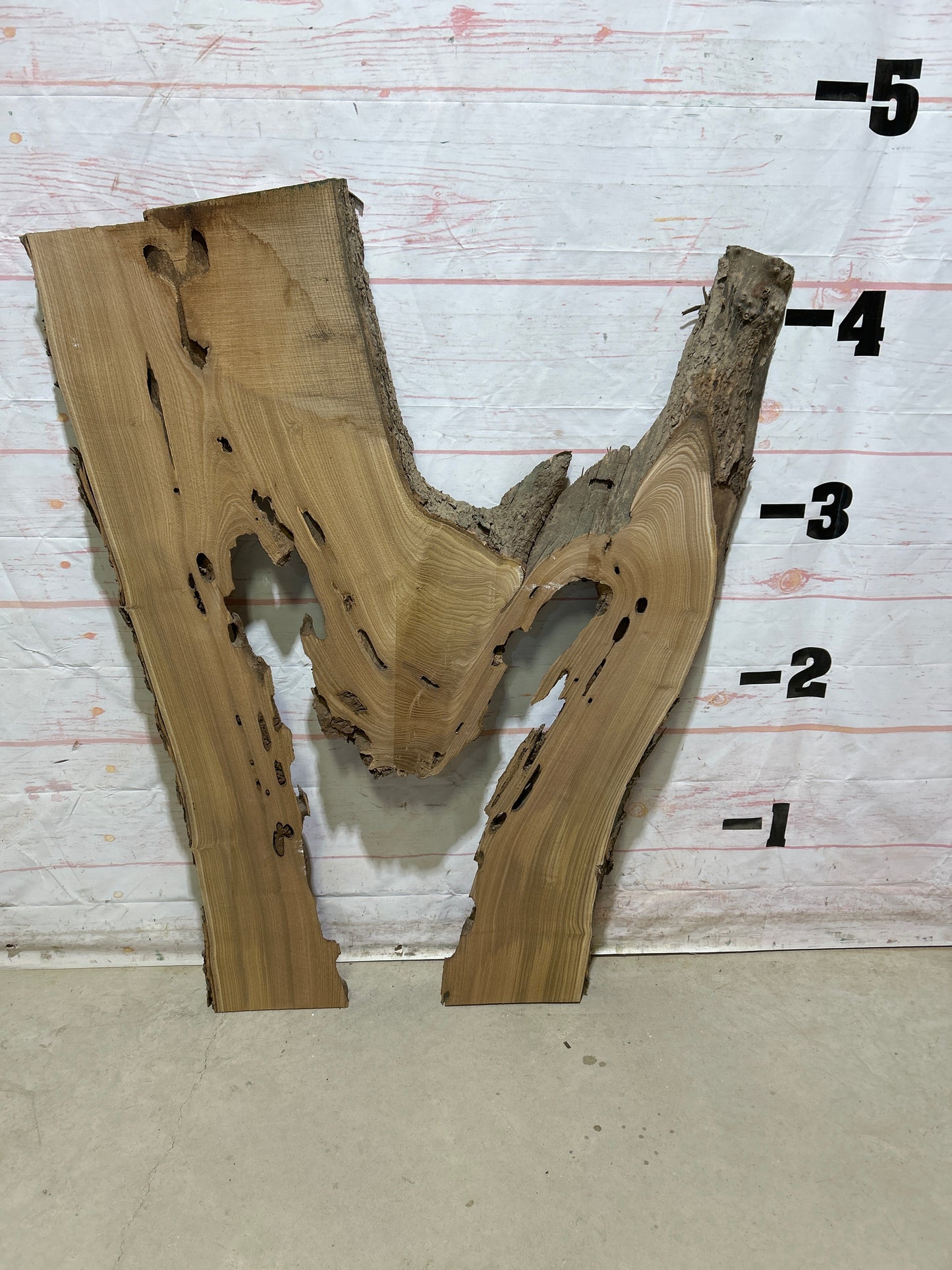 Live Edge Walnut Sku#27326M-30