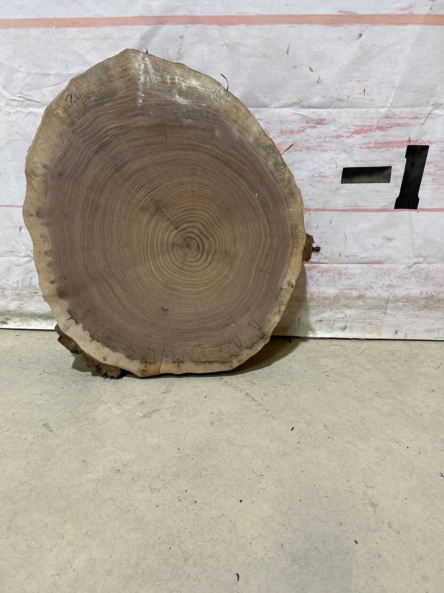 Live Edge Walnut Cookie Sku#28152M