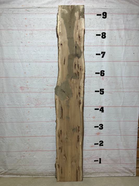 Live Edge Hickory Sku#28230-14