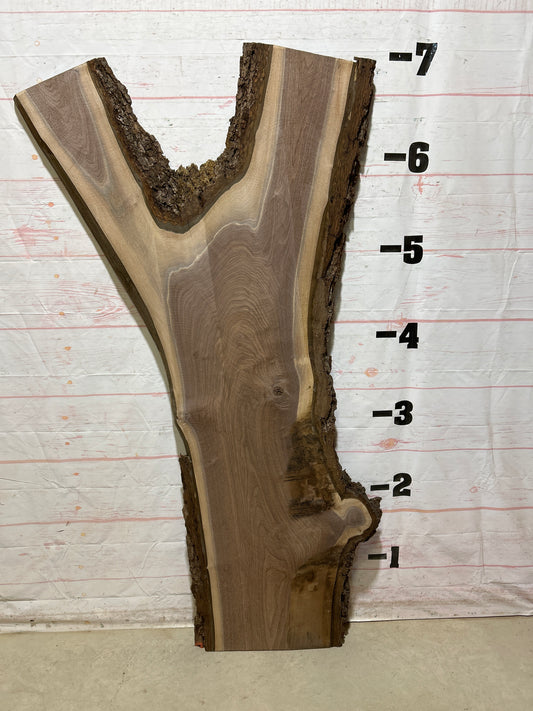 Live Edge Walnut Sku#27239J-38