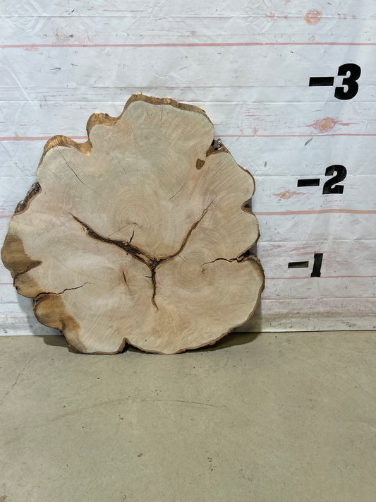 Live Edge Maple Cookie Sku#28705M