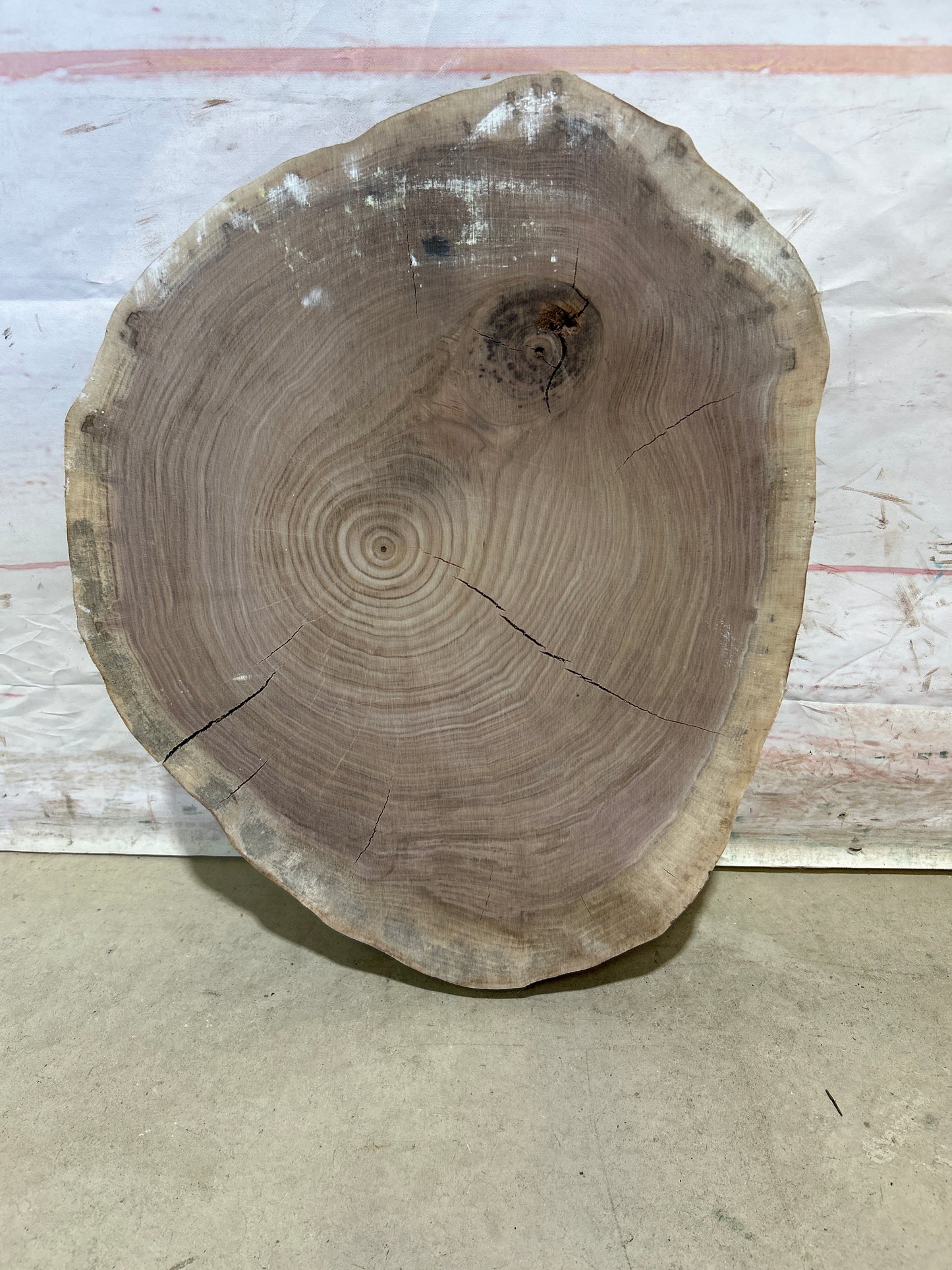 Live Edge Walnut Cookie Sku#28181M