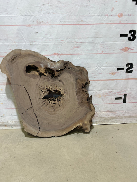 Live Edge Walnut Sku#27540N