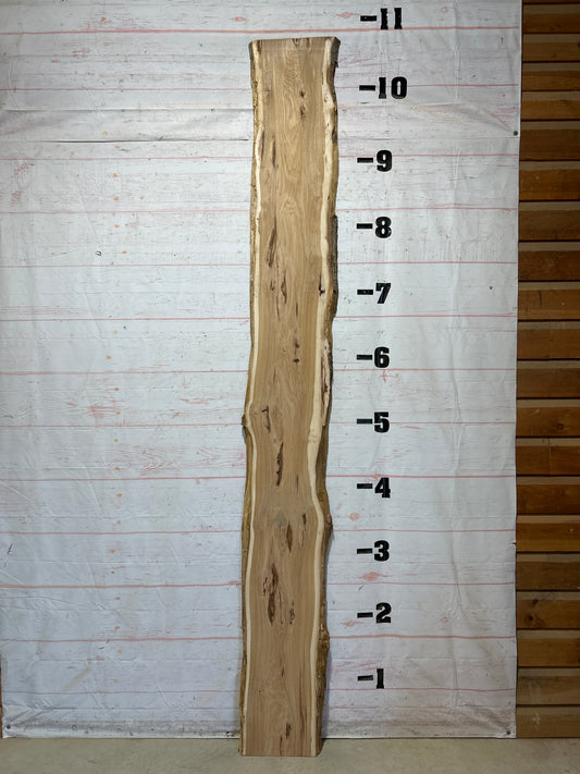 Live Edge Hickory Sku#28602-20