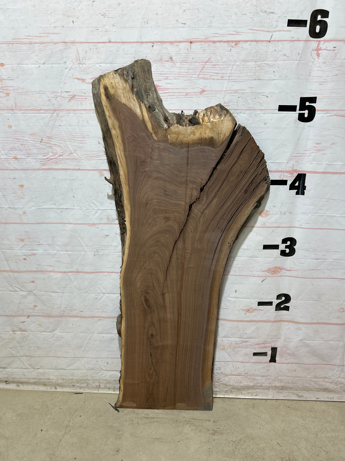 Live Edge Walnut Sku#28941G-22