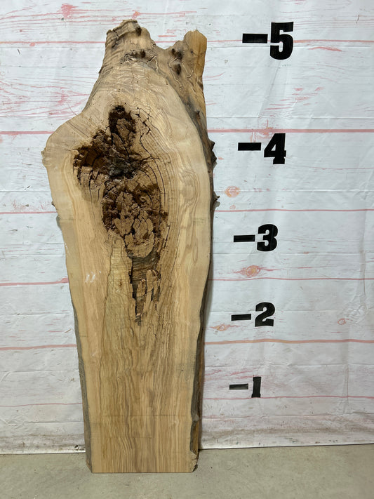 Live Edge Ash Sku#27282N-18