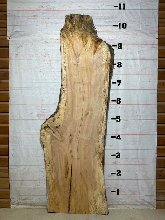 Live Edge Maple Sku#28100-68