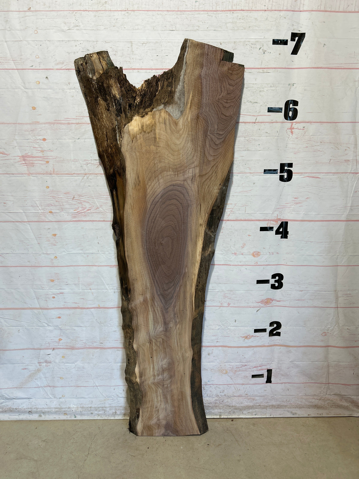 Live Edge Walnut Sku#28722-28
