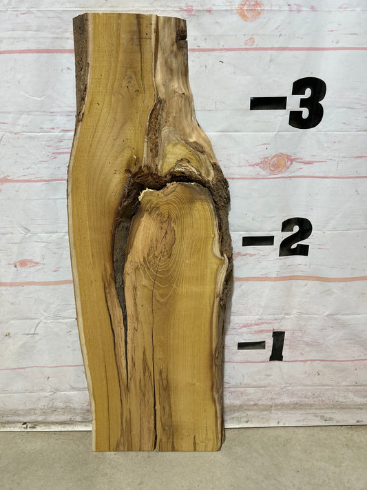 Live Edge Mulberry Sku#28375M-5