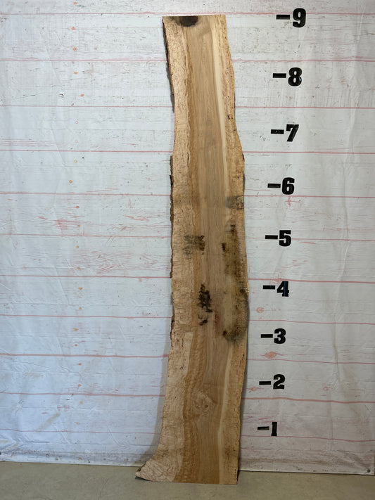 Live Edge Maple Sku#28262-24