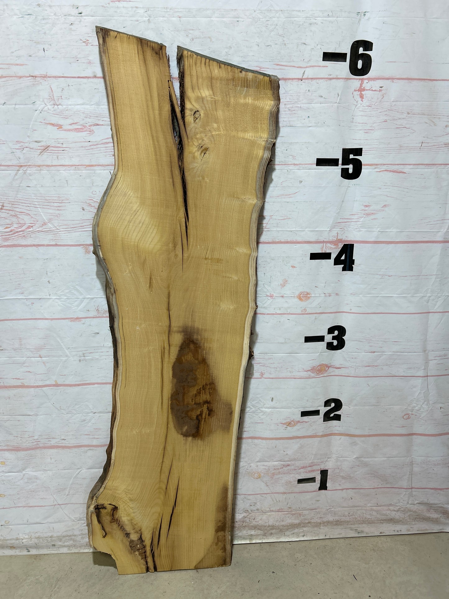 Live Edge Mulberry Sku#27621H-21