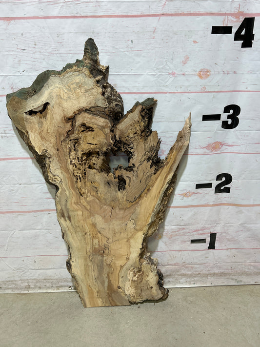 Live Edge Maple Sku#27409E-11