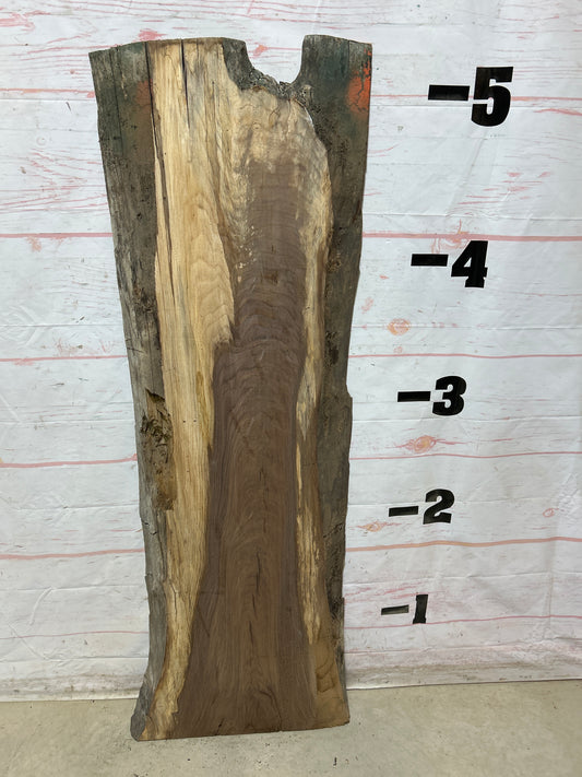 Live Edge Walnut Sku#27933G-18
