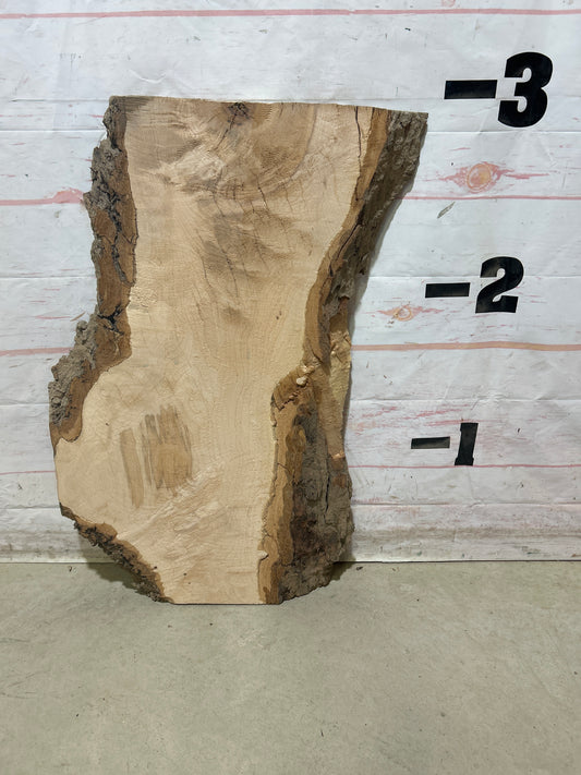 Live Edge Maple Sku#28570E-8