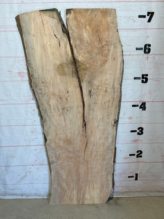 Live Edge Maple Sku#28426B-42