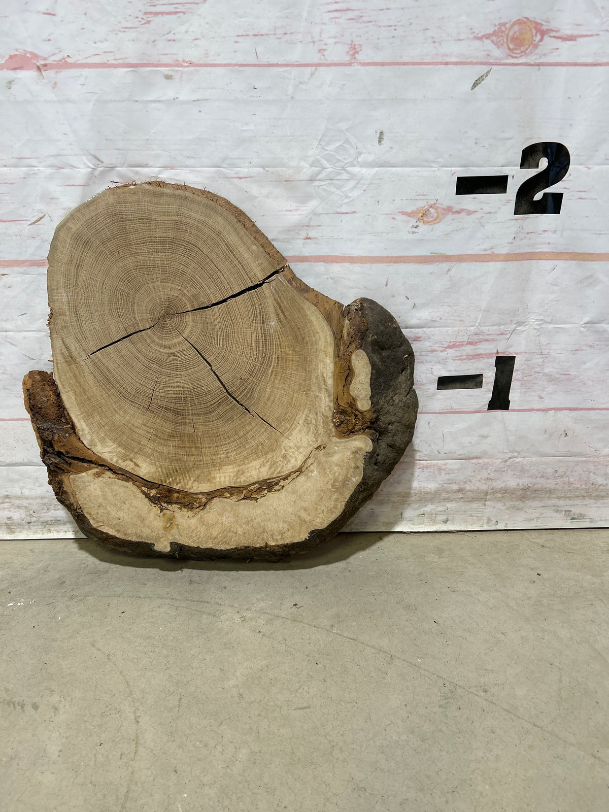 Live Edge White Oak Cookie Sku#28990M
