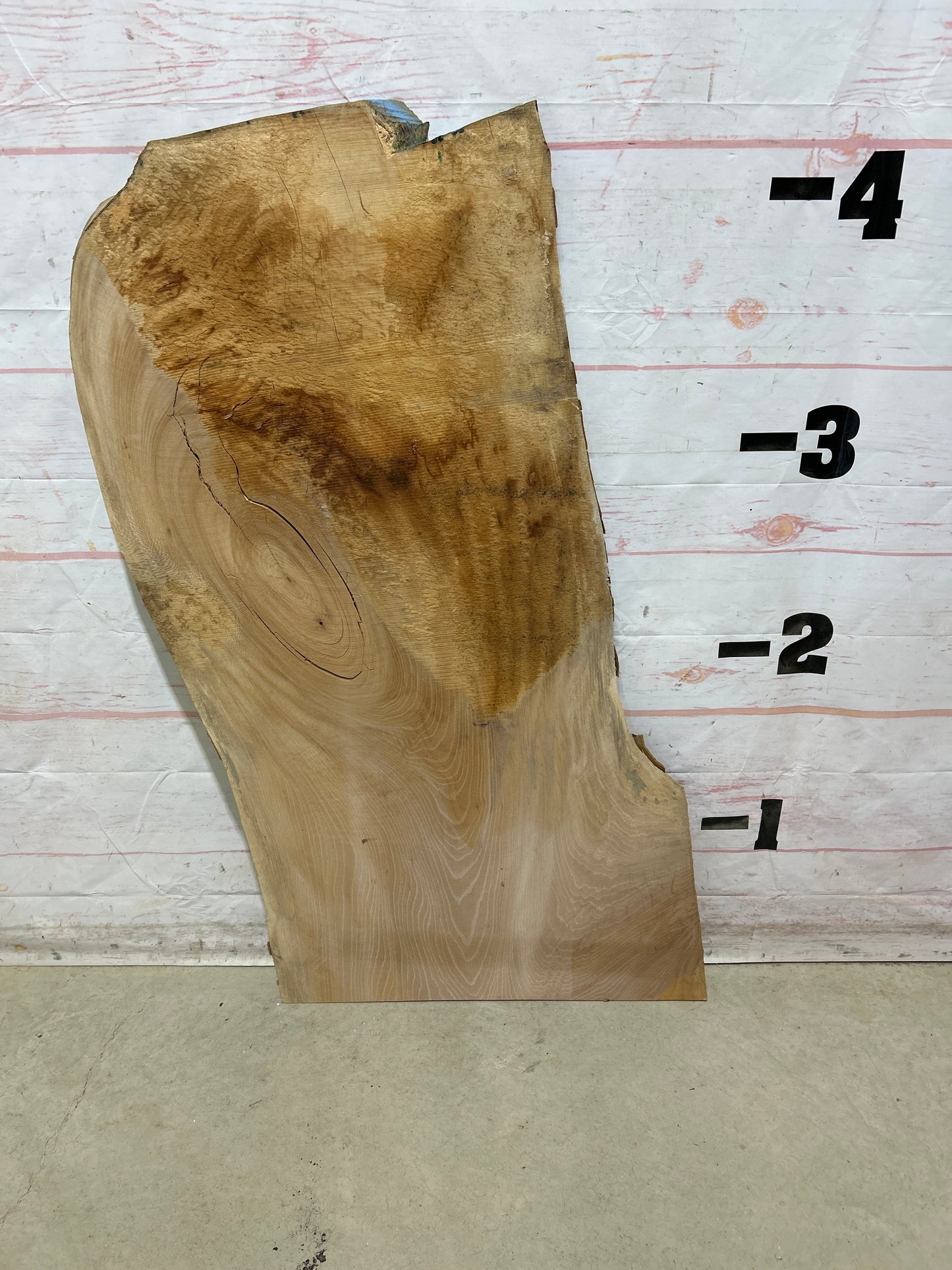 Live Edge Sycamore Sku#28086-16
