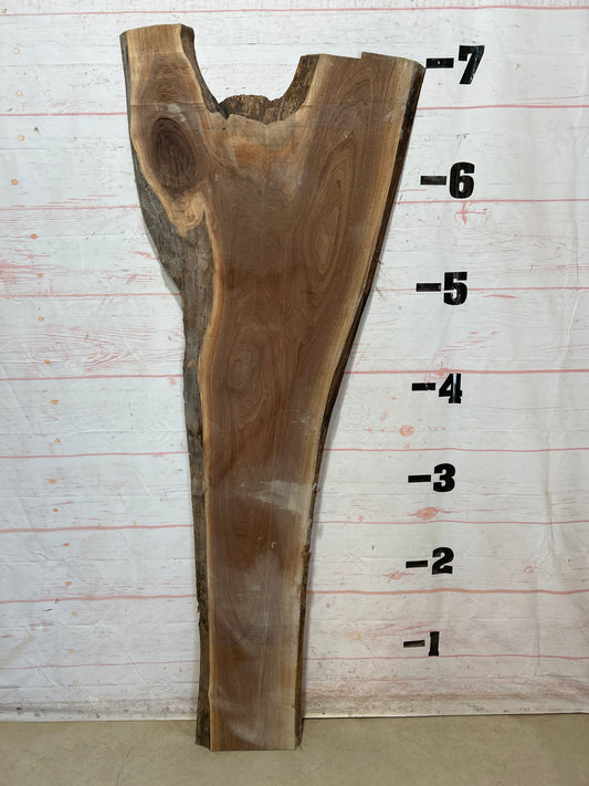 Live Edge Walnut Sku#27817-21